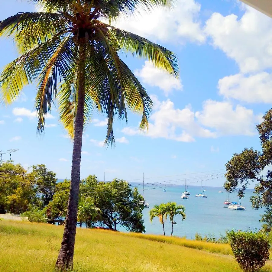 Color Garden - Studio Martinique Sainte-Anne Appartement