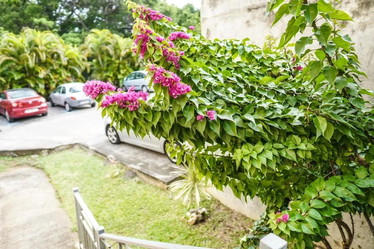 Color Garden - Studio Martinique Sainte-Anne