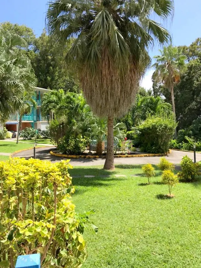 Color Garden - Studio Martinique Sainte-Anne Martinique