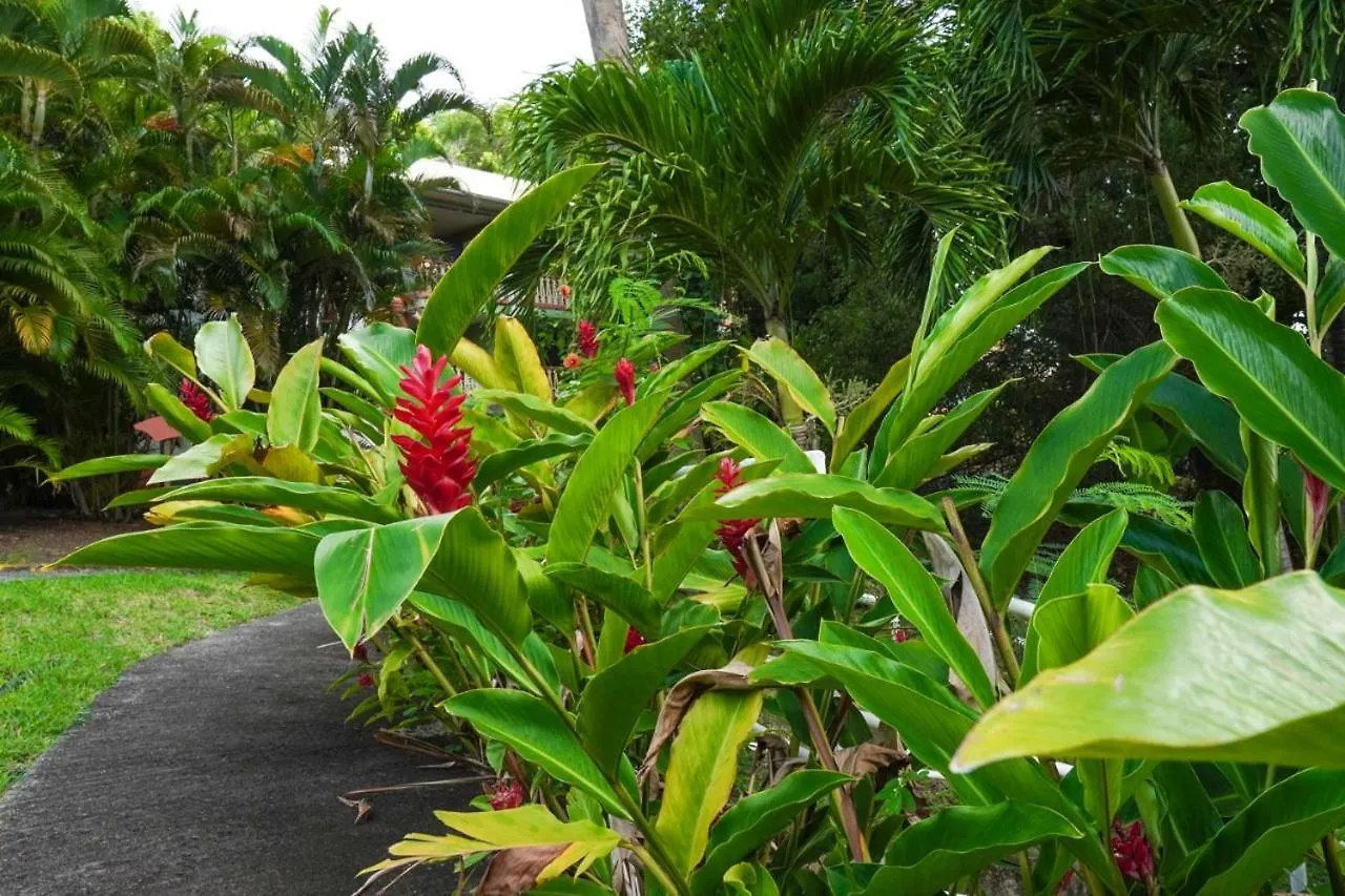Appartement Color Garden - Studio Martinique Sainte-Anne