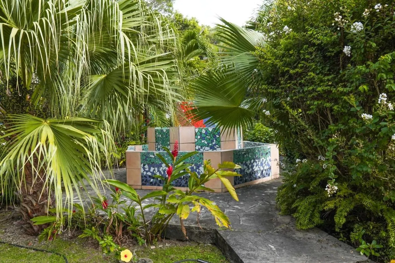 Color Garden - Studio Martinique Sainte-Anne Martinique